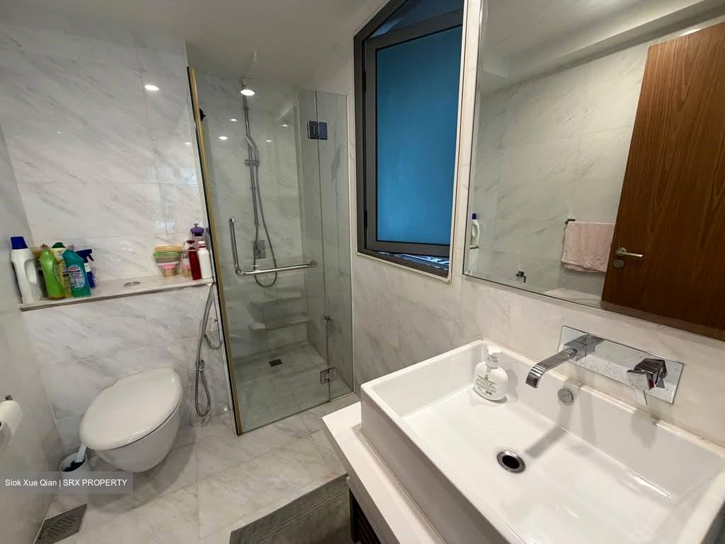 Suites At Orchard (D9), Apartment #556206231